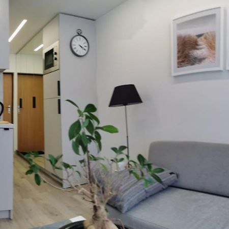 Apartament Salia Centro Wilno Zewnętrze zdjęcie